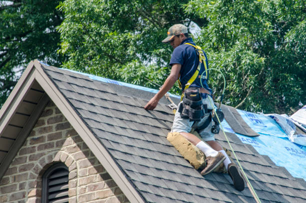Best Roof Leak Repair  in Farmersville, CA